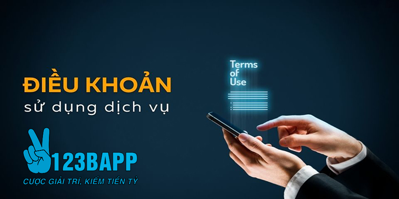 Quyền Lợi & Trách Nhiệm Người Chơi ở điều khoản sử dụng